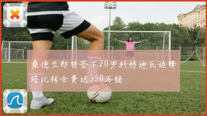桑德兰即将签下20岁科特迪瓦边锋塔比转会费达350万镑