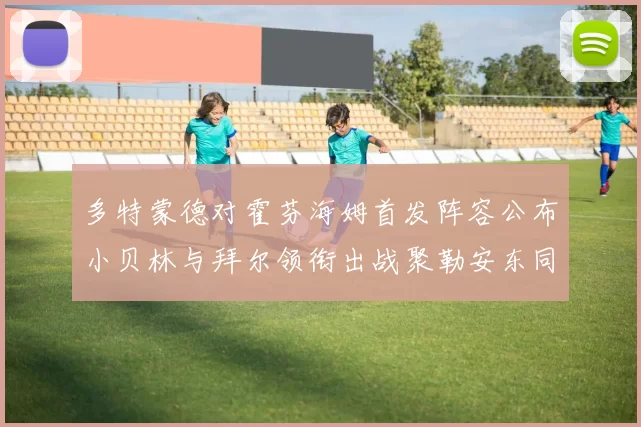 多特蒙德对霍芬海姆首发阵容公布小贝林与拜尔领衔出战聚勒安东同场竞技