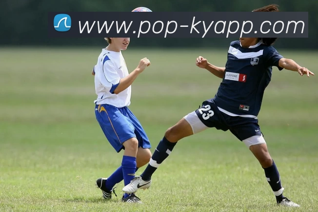 开云体育平台生态图