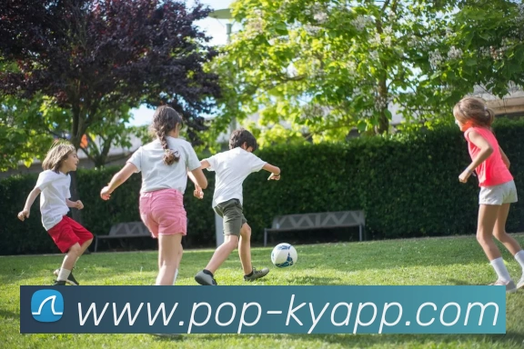 开云体育全站App